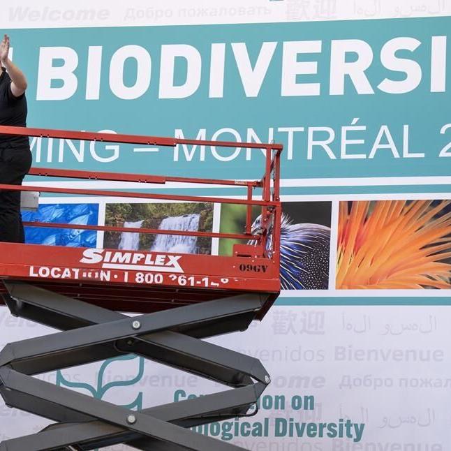 Nature 'under attack' says Trudeau as UN biodiversity conference opens in Montreal